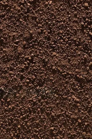 soil composition Image